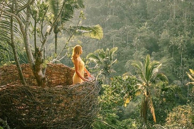 Fantastic Ubud Tour with Jungle Swing - What your private guide and vehicle add