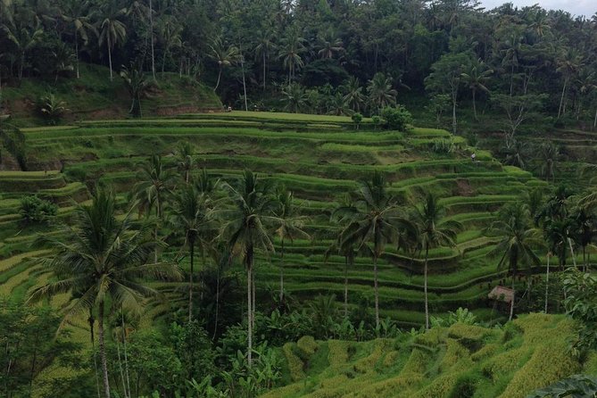 Favorite Sites of Ubud Daytrip - Celuk, where silverwork begins the morning