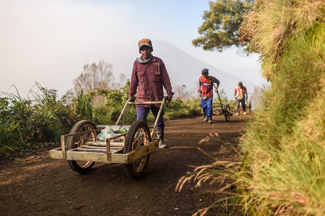 From Bali : Bromo & Kawah Ijen – 3-Day Adventure - Who should book this volcano adventure?