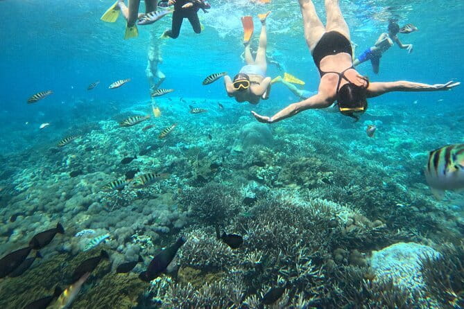From Bali: Nusa Penida Full Day Tour and Snorkeling - Manta Bay is the short, wildlife-focused stop