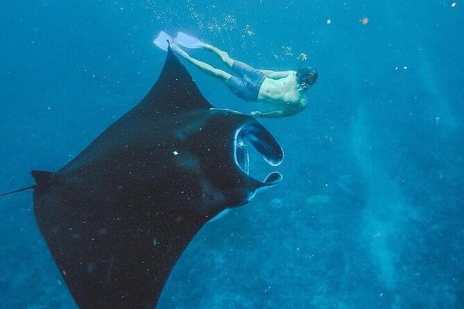 From Bali: Nusa Penida Snorkeling and Island Tour - Key things to know before booking