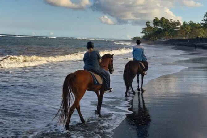 From Ubud 1 Hour Horse Riding at The Beach Experiences - Why the private format matters