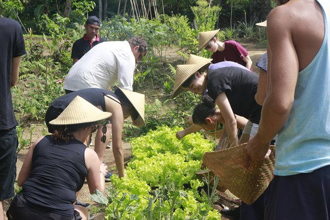 From Ubud: Authentic Bali Farm Cooking School & Organic Farm - What the Instructors Add