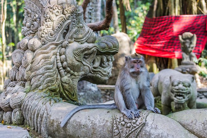 Full-Day Ayung River White Water Rafting and Ubud Tour - Tegenungan Waterfall at the end of the day