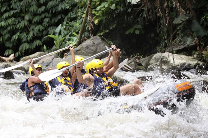 Full-Day Ayung River White Water Rafting and Ubud Tour - Getting down to the Ayung River