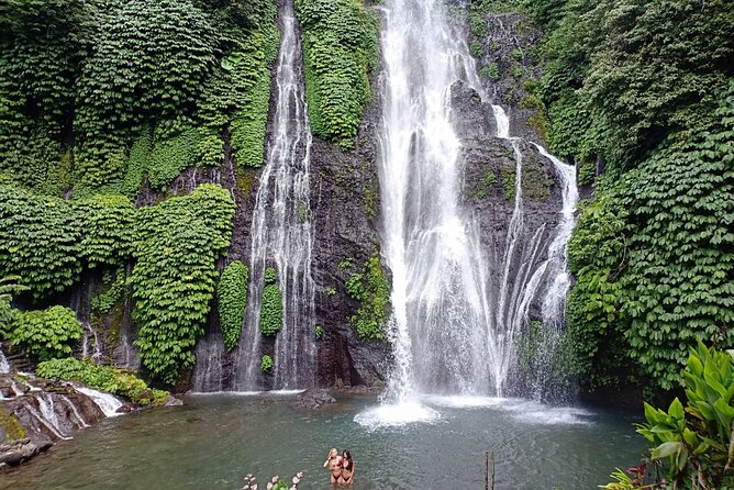 Full Day Bali North West Tour - Waterfall and Scenic Site - The pace, comfort, and practical tradeoffs