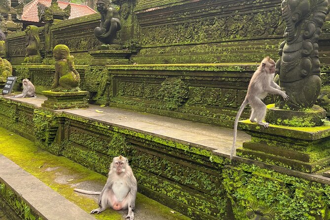 Full Day Best of Ubud Private Tour - Ubud Monkey Forest closes the sightseeing loop