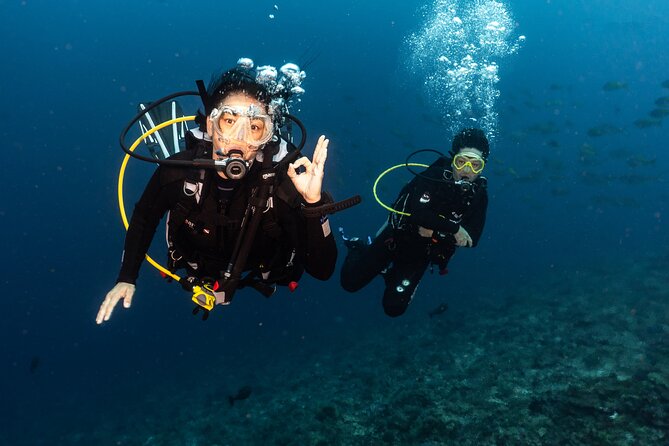 Full-Day Discover Scuba Diving Tour for Beginners in Tulamben - Why Tulamben works well for a first scuba session