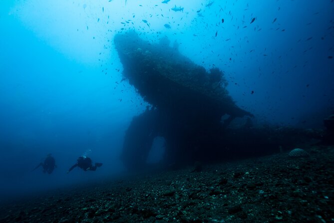 Full-Day Discover Scuba Diving Tour for Beginners in Tulamben - Coral Garden: an easier first underwater view