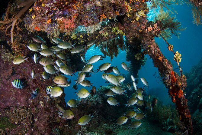 Full-Day Discover Scuba Diving Tour for Beginners in Tulamben - Lunch and a practical break at the center