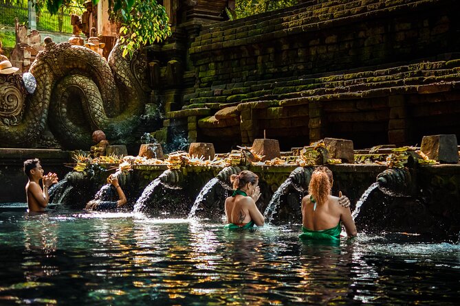 Full-Day Highlights and Best of Ubud Village - Why this Ubud day works well