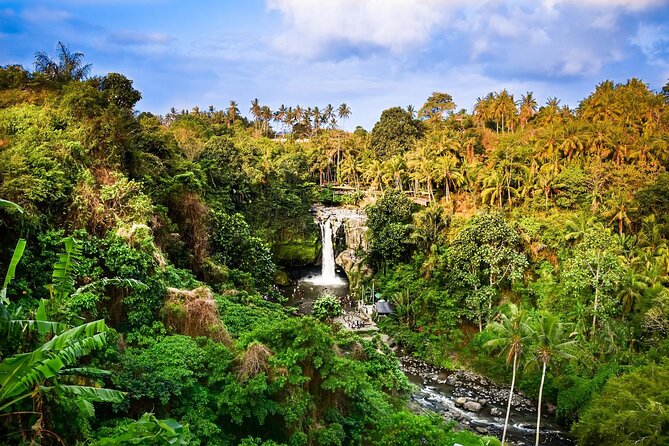 Full-Day Highlights and Best of Ubud Village - Tirta Empul: a chance to understand Balinese water rituals