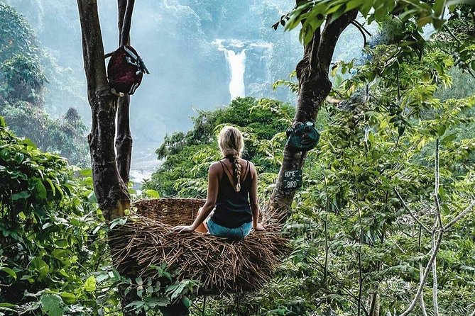 Full-Day in Bali: Private Design-Your-Own Tour - Waterfalls and rice terraces