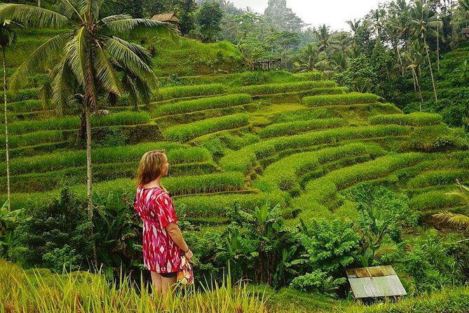 Full-Day in Bali: Private Design-Your-Own Tour - Start with a route, not a wish list