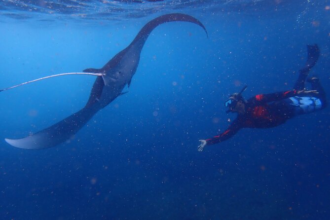 Full-Day Island-Hopping Tour from Bali - Three snorkeling stops around Lembongan and Penida
