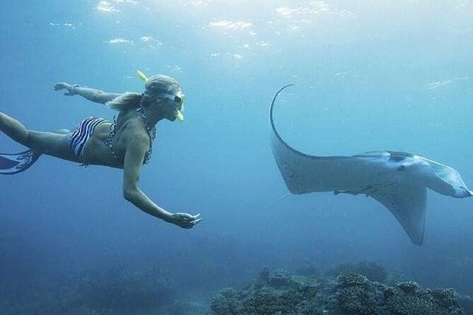 Full-Day Island-Hopping Tour from Bali - What to pack for this exact itinerary