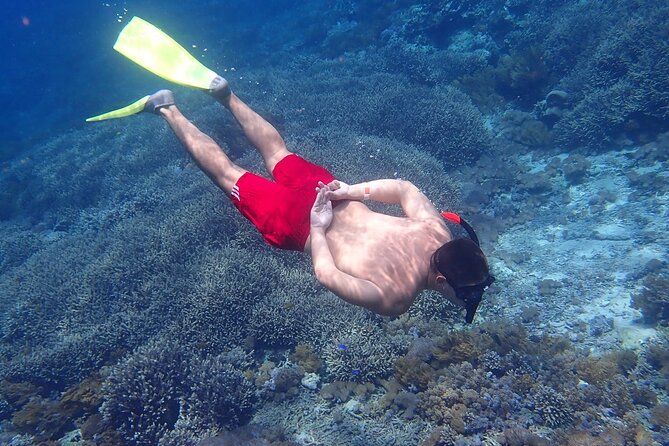 Full-Day Island-Hopping Tour from Bali - Indonesian buffet lunch on Lembongan