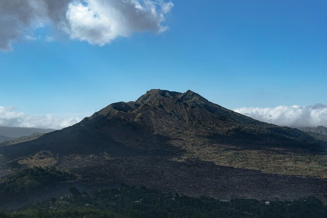 Full Day Kintamani Volcano View and Ancient Penglipuran Village - The coffee plantation in Bangli