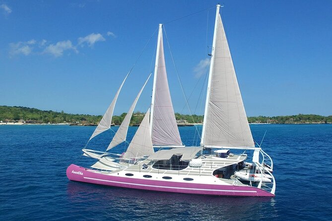 Full day Lembongan Island Catamaran Cruise with BBQ Lunch - Snorkeling in clear water and colorful reef