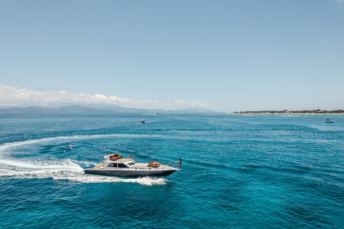 Full Day Nusa Penida by Honey Milk Yacht 13 meters - SD Point: current, coral, turtles, and fish