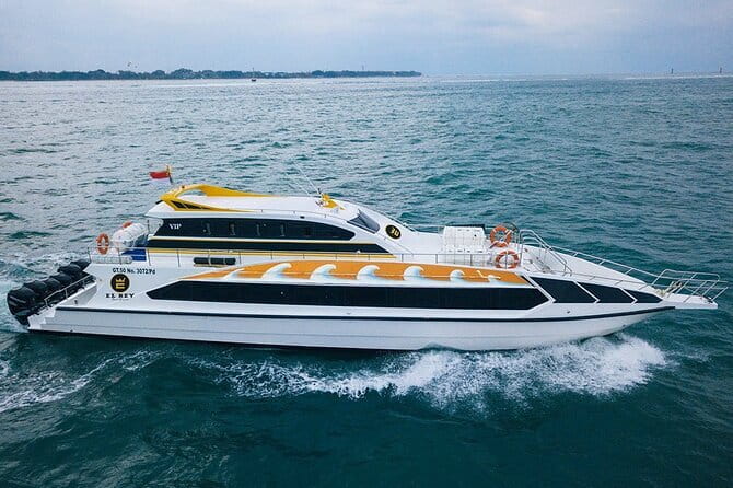Full-Day Nusa Penida Island with Snorkeling from Bali - What the private car adds to the day