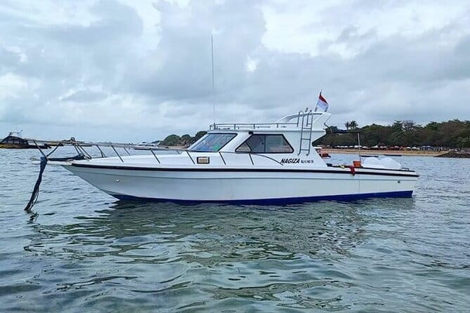 Full-Day Nusa Penida Island with Snorkeling from Bali - Manta Bay, Gamat Bay, and Crystal Bay on the morning boat