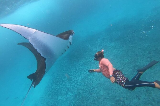 Full Day Nusa Penida Manta Point Snorkeling and West Island Tour - Gamat Bay Gives You a Second Water Session
