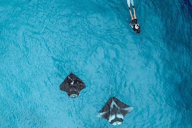 Full Day Nusa Penida Manta Point Snorkeling and West Island Tour - Private Tour Comfort, Shared Boat Reality