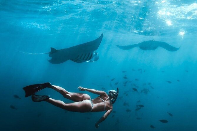 Full Day Nusa Penida Manta Point Snorkeling and West Island Tour - Kelingking Beach Offers the Big West-Coast View