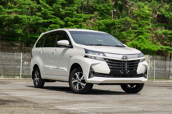 Full-Day Private Car Charter in Bali with Local Guide - A private Bali day built around your priorities