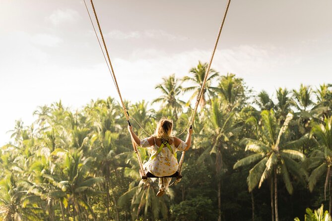 Full-Day Private Car Charter in Bali with Local Guide - Who should book this car charter