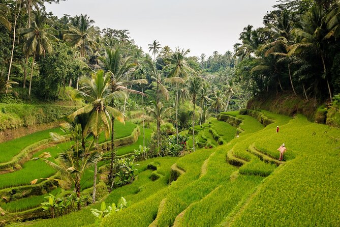 Full-Day Private Guided Exploring Bali as You Wish Tour - A private Bali day without a fixed script