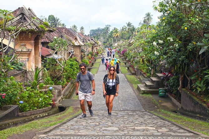 Full-Day Private Guided Exploring Bali as You Wish Tour - East Bali and Nusa Penida choices