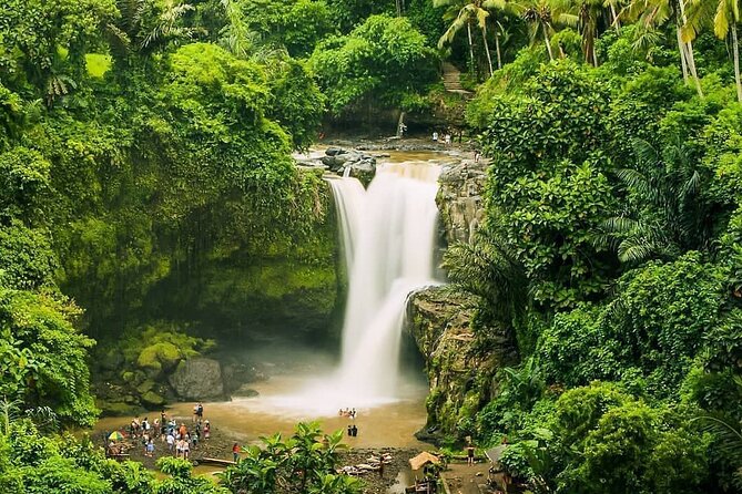 Full Day Private Guided Tour in Bali - Sacred Monkey Forest Sanctuary