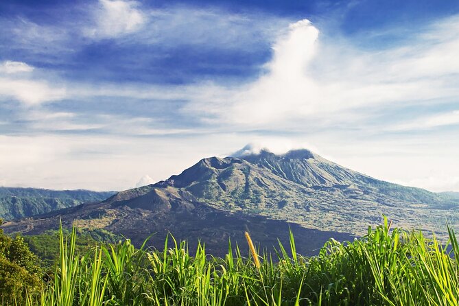Full Day Private Guided Tour to Bali - Sacred Monkey Forest, temples beneath old trees