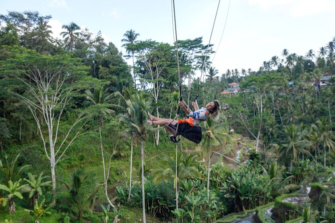 Full Day Private Guided Tour to Bali - The driver-guide is the heart of the experience