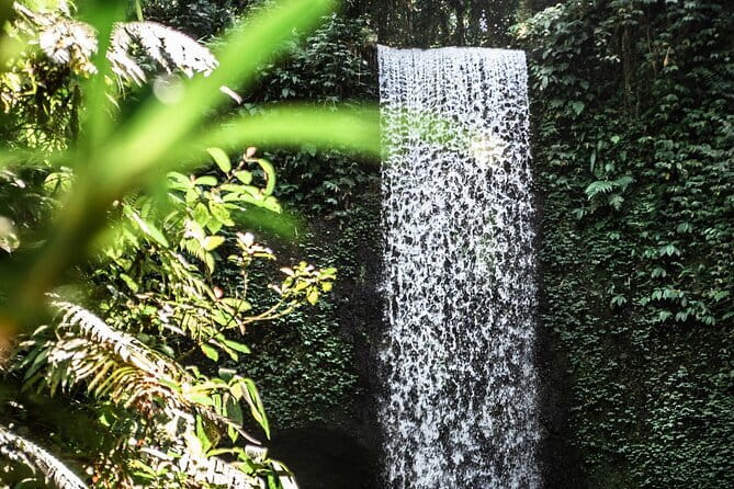 Full Day Private Tour All Inclusive Hidden Gems Bali Waterfall - A private guide changes the feel of the day