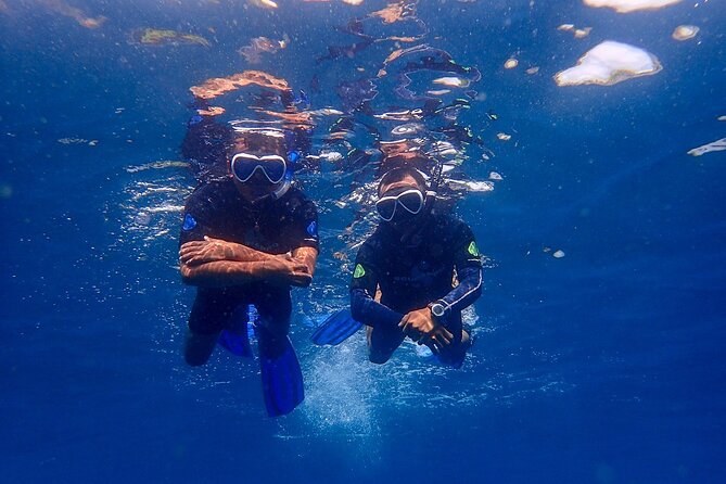 Full-Day Scuba Diving Experience of USAT Liberty in Tulamben - Second session: Coral Garden
