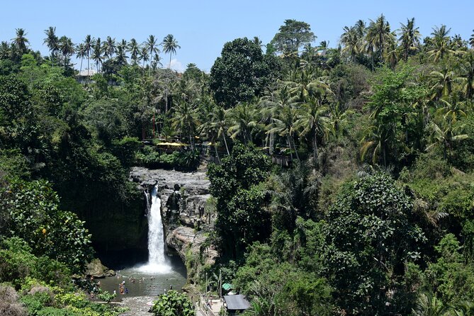Full day Tour to Best of Ubud with jungle swing - What the driver-guide adds