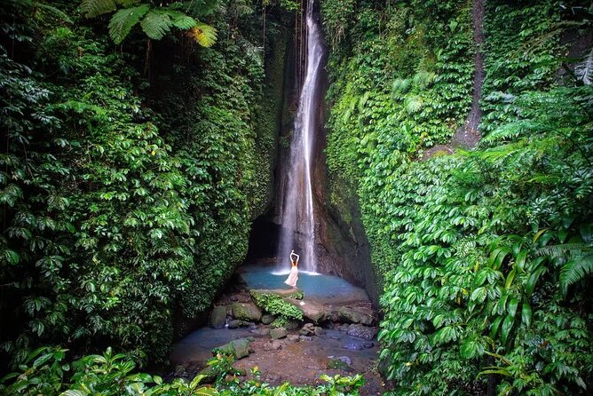Full-Day Tour to Water Temples and UNESCO Rice Terraces in Bali - Jatiluwih rice terraces and the subak system