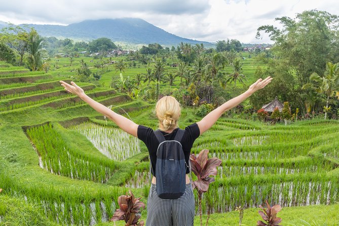Full-Day Tour to Water Temples and UNESCO Rice Terraces in Bali - Price, inclusions, and where the value sits