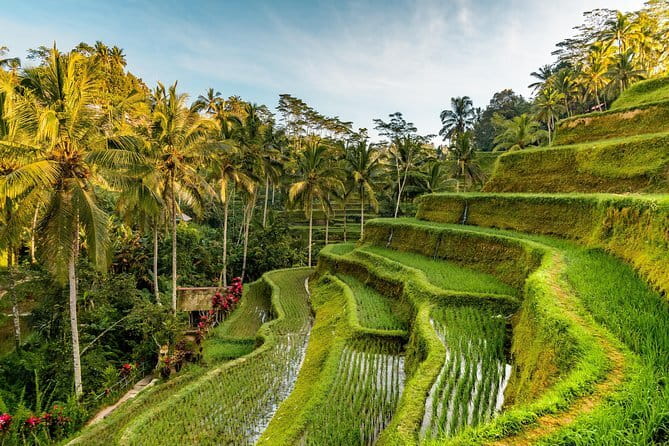 Full Day Tour to Water Temples UNESCO Rice Terraces in Bali - The guide can shape the whole day