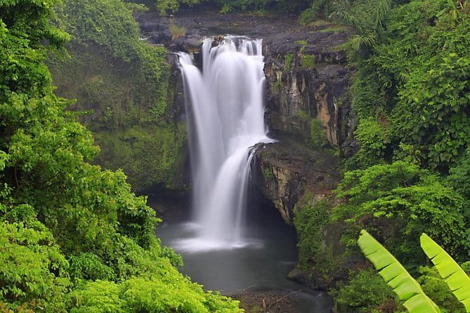 Full Day Tour to Water Temples UNESCO Rice Terraces in Bali - Who should book this Bali day tour?