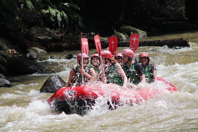 Full-Day Tour: White Water Rafting and Highlight of Ubud with All-inclusive - Setting out at 8:30 am with a private driver