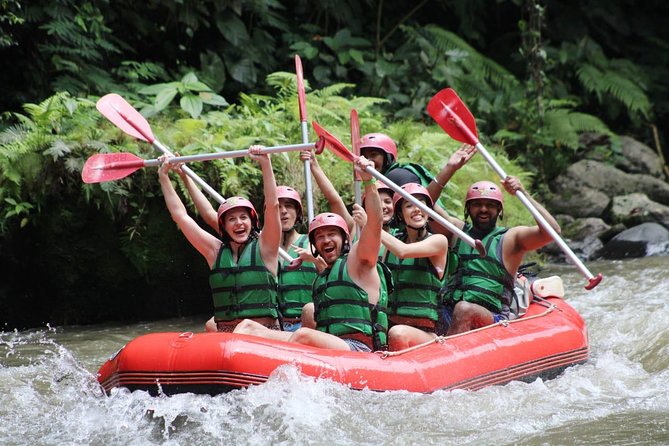 Full-Day Tour: White Water Rafting and Highlight of Ubud with All-inclusive - The Ayung River rafting experience