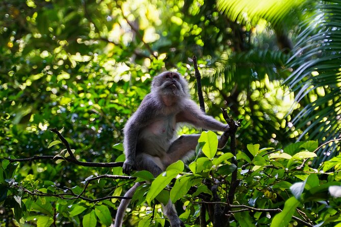 Full Day – Ubud Art Village and Mount Batur Kintamani with Lunch - Batuan painters and local art