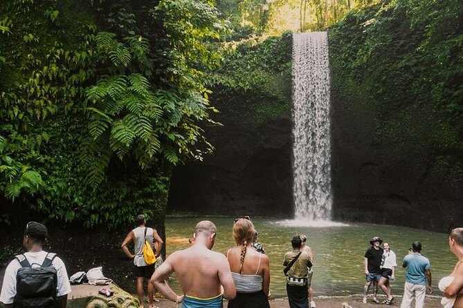 Full Day Ubud Custom Private Tour with Hotel Pickup - Why a private Ubud day makes sense