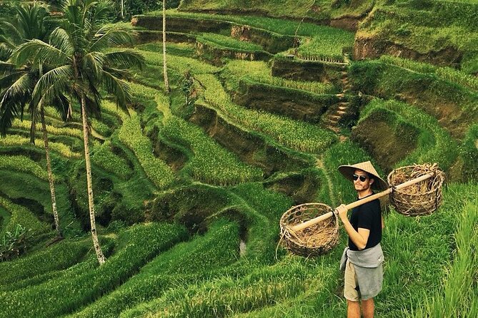 Full Day Ubud Custom Private Tour with Hotel Pickup - Monkey Forest: an atmospheric first stop