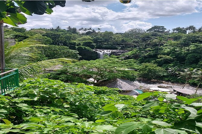 Full Day Ubud Tour - Tegalalang Rice Terrace and the subak system