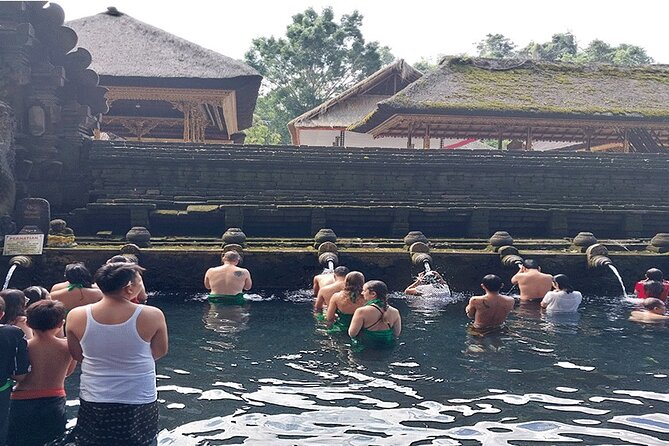 Full Day Ubud Tour - What the private setup changes